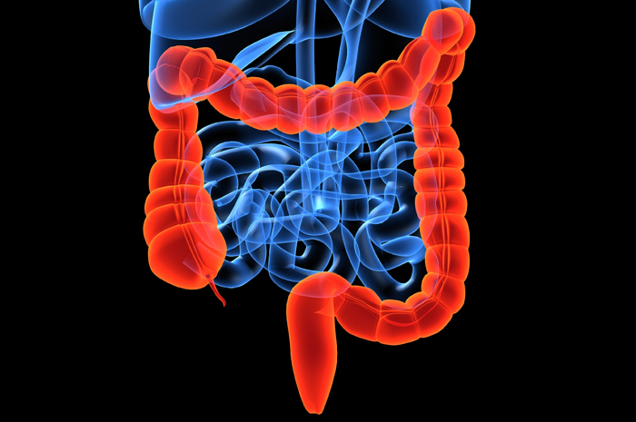 Disordini funzionali intestinali e sindrome dell'intestino irritabile